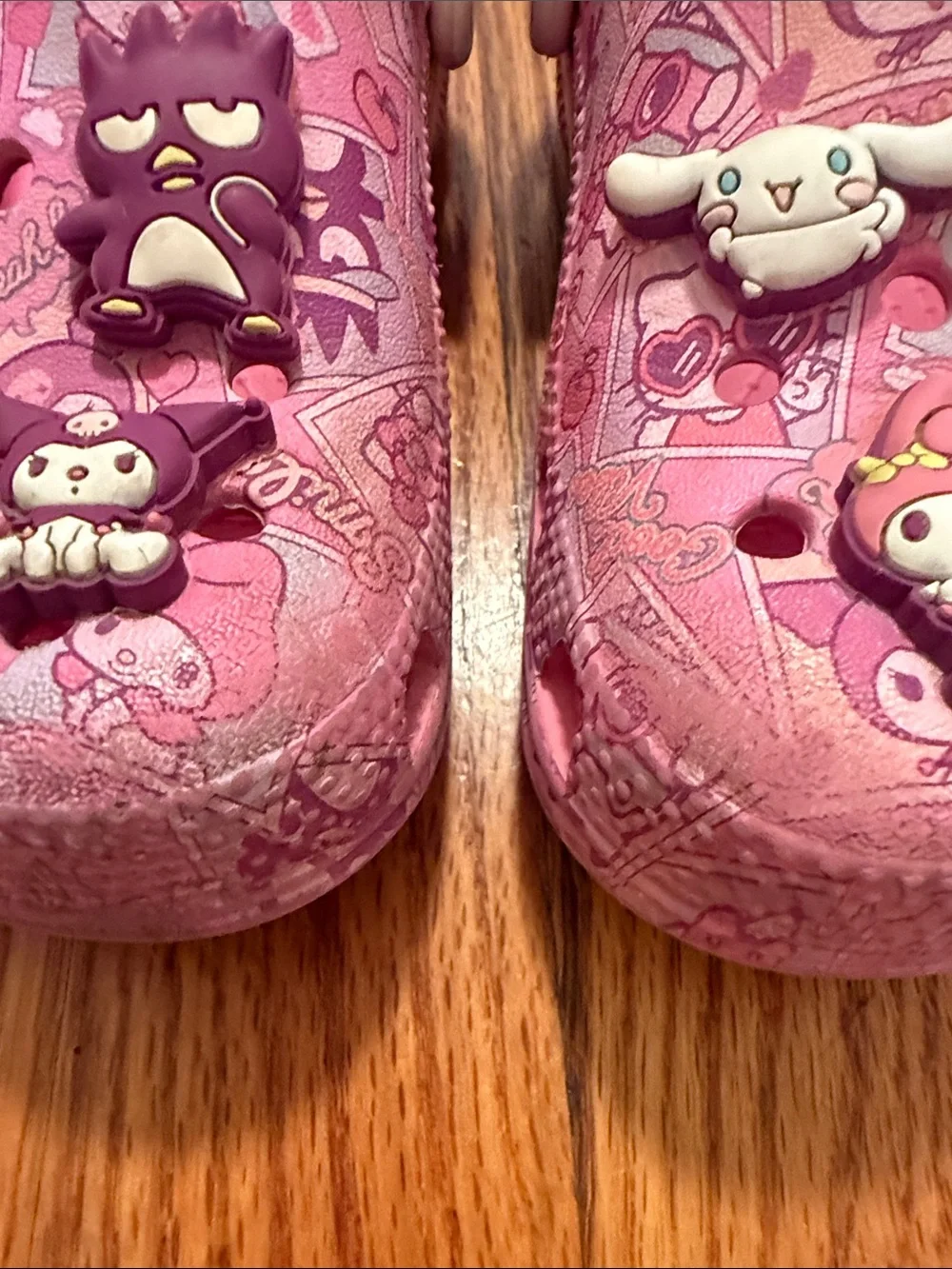 CROCS Kids Pink Character Slip-On Clogs with Backstrap